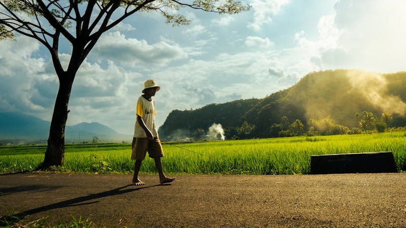 Why Toe Alignment Affects Your Knees and Hips